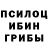 Галлюциногенные грибы GOLDEN TEACHER Ytka_286_voin_2019