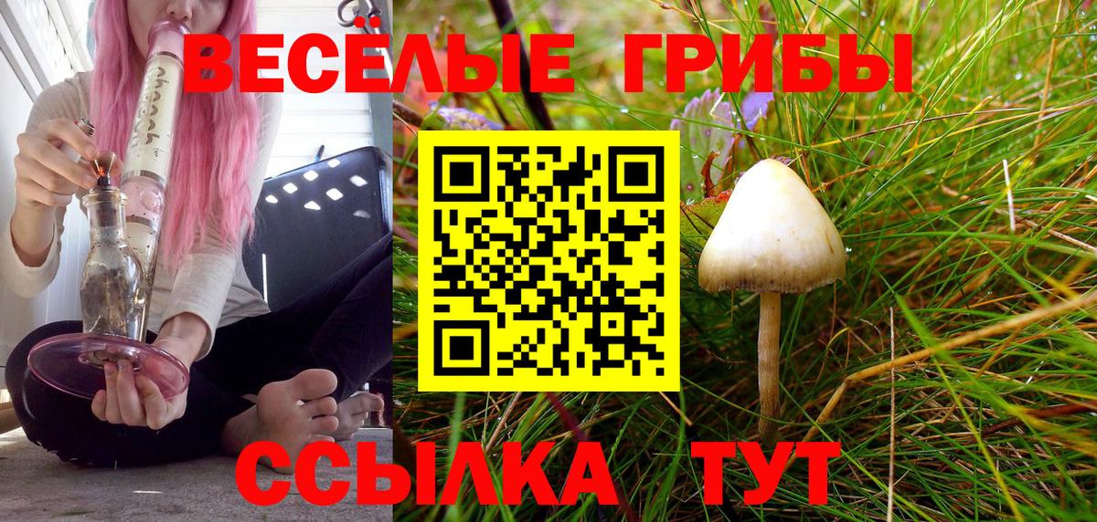 Галлюциногенные грибы Psilocybe  Вход с VPN  Искитим 